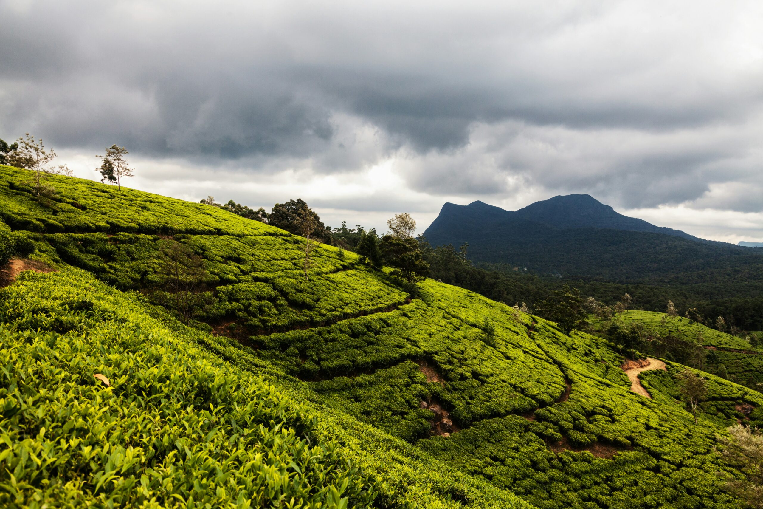 Kandy Sri Dalada Maligawa